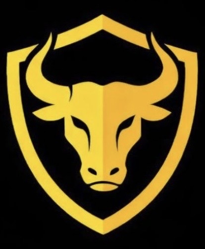 Torque Logo